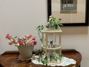 IMG_7631